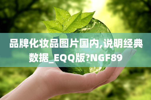 品牌化妆品图片国内,说明经典数据_EQQ版?NGF89