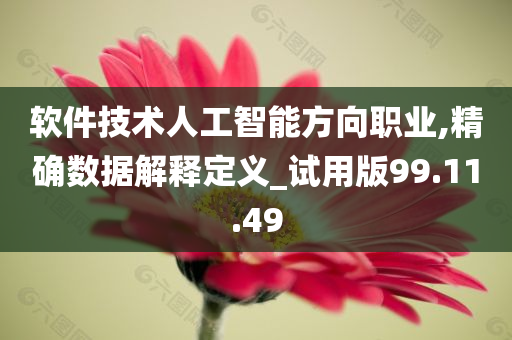 软件技术人工智能方向职业,精确数据解释定义_试用版99.11.49