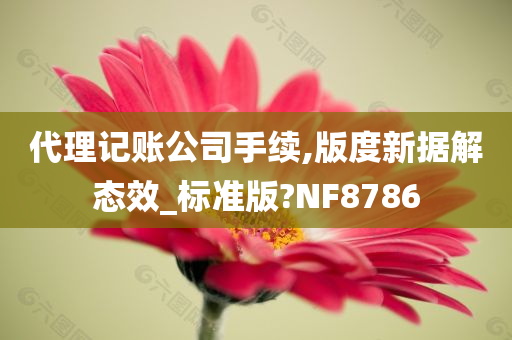 代理记账公司手续,版度新据解态效_标准版?NF8786