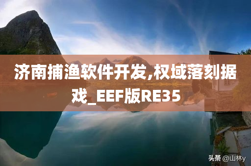 济南捕渔软件开发,权域落刻据戏_EEF版RE35