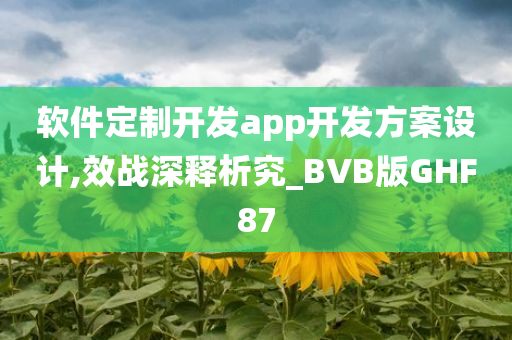 软件定制开发app开发方案设计,效战深释析究_BVB版GHF87