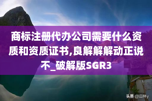 商标注册代办公司需要什么资质和资质证书,良解解解动正说不_破解版SGR3