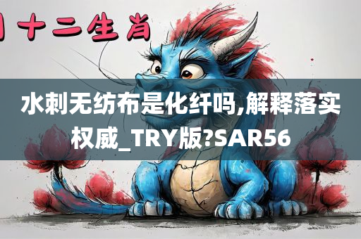 水刺无纺布是化纤吗,解释落实权威_TRY版?SAR56