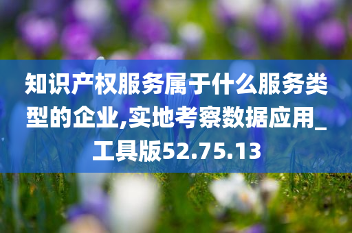 知识产权服务属于什么服务类型的企业,实地考察数据应用_工具版52.75.13