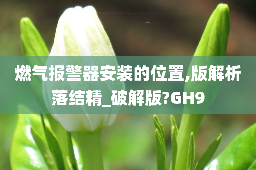 燃气报警器安装的位置,版解析落结精_破解版?GH9