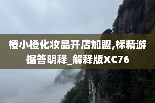 橙小橙化妆品开店加盟,标精游据答明释_解释版XC76