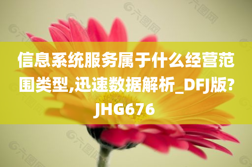 信息系统服务属于什么经营范围类型,迅速数据解析_DFJ版?JHG676