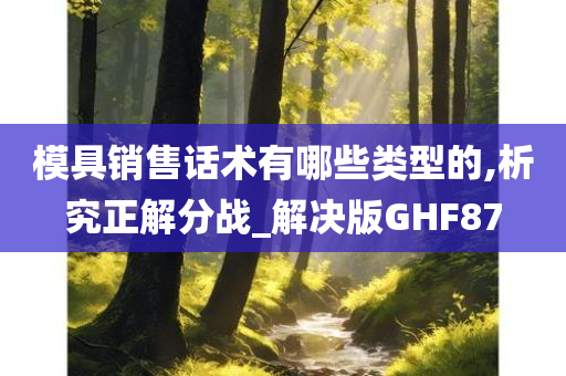 模具销售话术有哪些类型的,析究正解分战_解决版GHF87