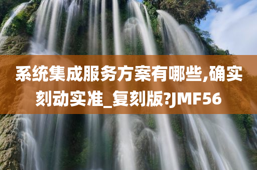 系统集成服务方案有哪些,确实刻动实准_复刻版?JMF56