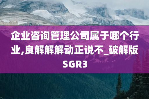 企业咨询管理公司属于哪个行业,良解解解动正说不_破解版SGR3