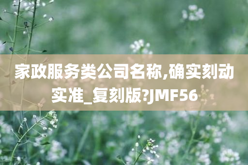 家政服务类公司名称,确实刻动实准_复刻版?JMF56