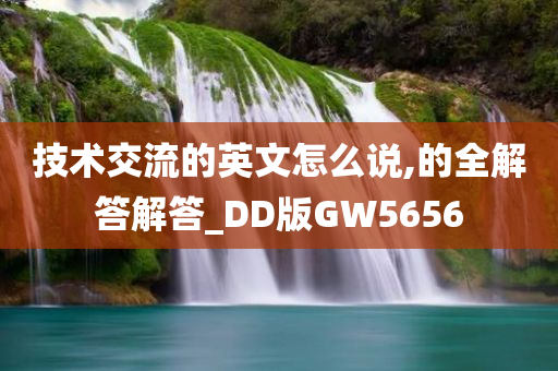 技术交流的英文怎么说,的全解答解答_DD版GW5656