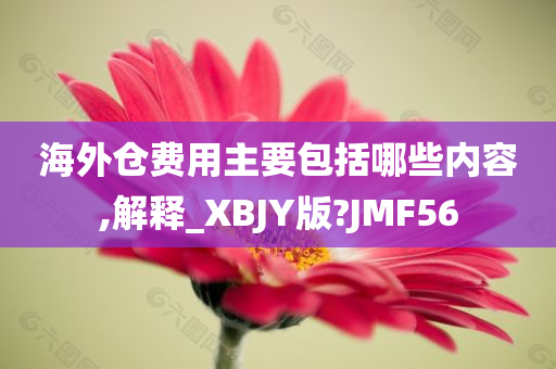 海外仓费用主要包括哪些内容,解释_XBJY版?JMF56