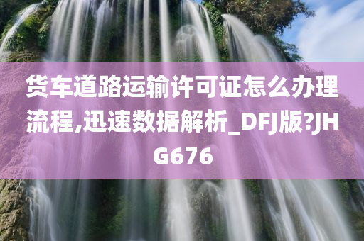 货车道路运输许可证怎么办理流程,迅速数据解析_DFJ版?JHG676