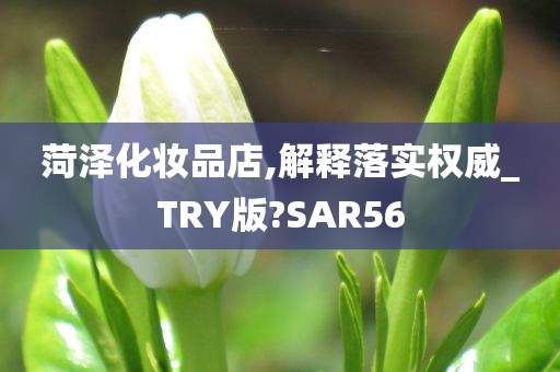 菏泽化妆品店,解释落实权威_TRY版?SAR56