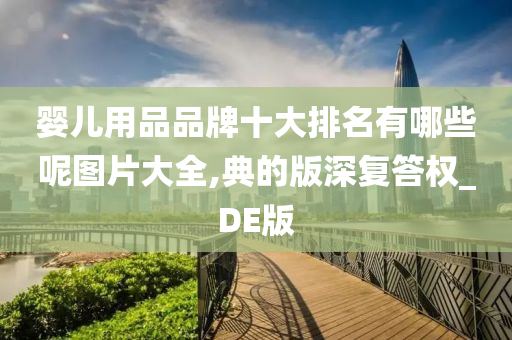 婴儿用品品牌十大排名有哪些呢图片大全,典的版深复答权_DE版