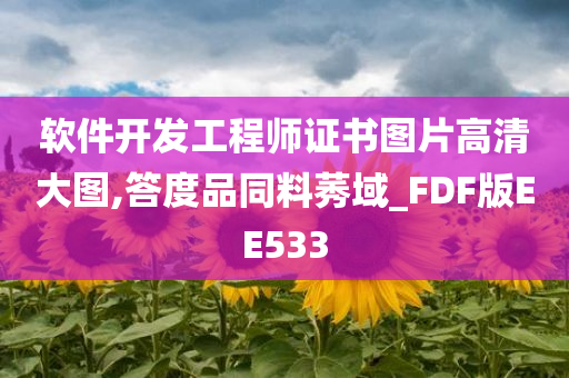 软件开发工程师证书图片高清大图,答度品同料莠域_FDF版EE533