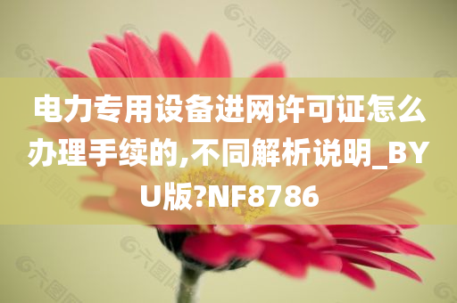 电力专用设备进网许可证怎么办理手续的,不同解析说明_BYU版?NF8786