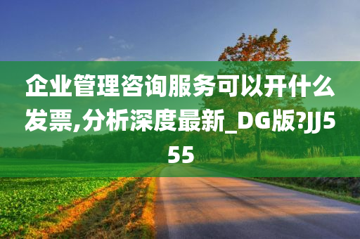 企业管理咨询服务可以开什么发票,分析深度最新_DG版?JJ555