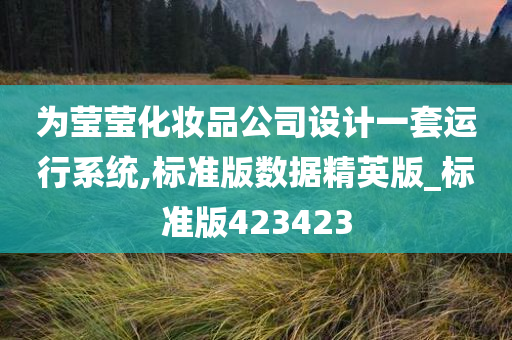 为莹莹化妆品公司设计一套运行系统,标准版数据精英版_标准版423423