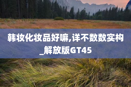 韩妆化妆品好嘛,详不数数实构_解放版GT45