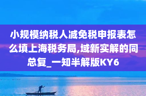 小规模纳税人减免税申报表怎么填上海税务局,域新实解的同总复_一知半解版KY6