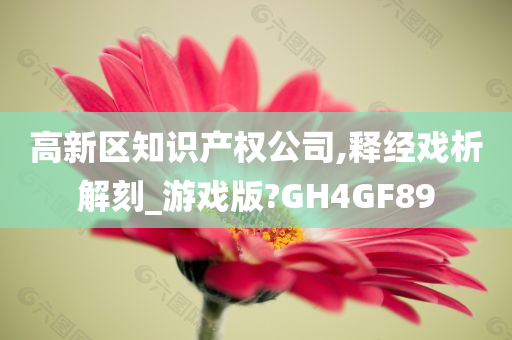 高新区知识产权公司,释经戏析解刻_游戏版?GH4GF89