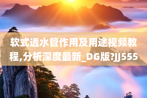 软式透水管作用及用途视频教程,分析深度最新_DG版?JJ555