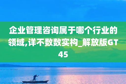 企业管理咨询属于哪个行业的领域,详不数数实构_解放版GT45