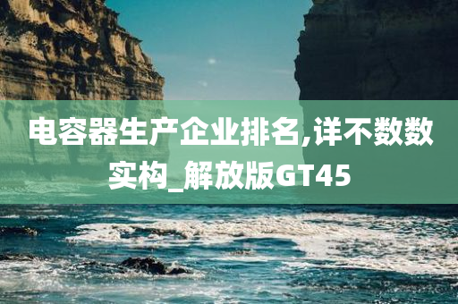 电容器生产企业排名,详不数数实构_解放版GT45