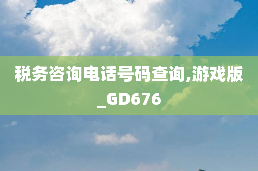 税务咨询电话号码查询,游戏版_GD676