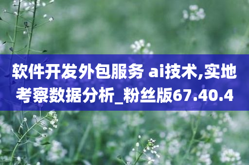 软件开发外包服务 ai技术,实地考察数据分析_粉丝版67.40.40