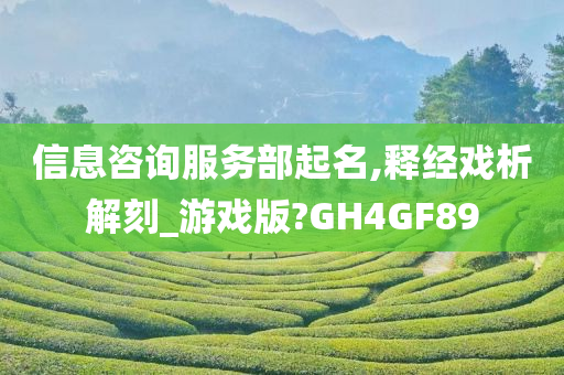 信息咨询服务部起名,释经戏析解刻_游戏版?GH4GF89