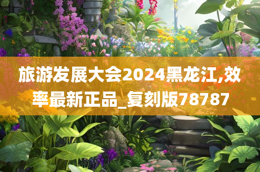 旅游发展大会2024黑龙江,效率最新正品_复刻版78787