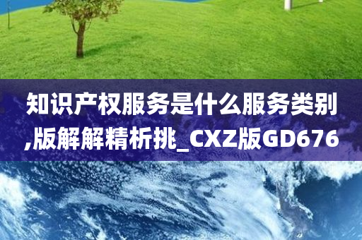 知识产权服务是什么服务类别,版解解精析挑_CXZ版GD676