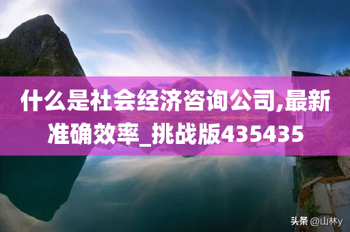 什么是社会经济咨询公司,最新准确效率_挑战版435435