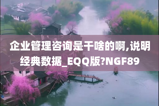 企业管理咨询是干啥的啊,说明经典数据_EQQ版?NGF89