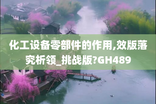 化工设备零部件的作用,效版落究析领_挑战版?GH489