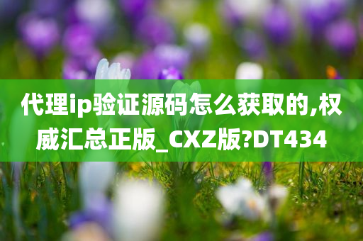 代理ip验证源码怎么获取的,权威汇总正版_CXZ版?DT434