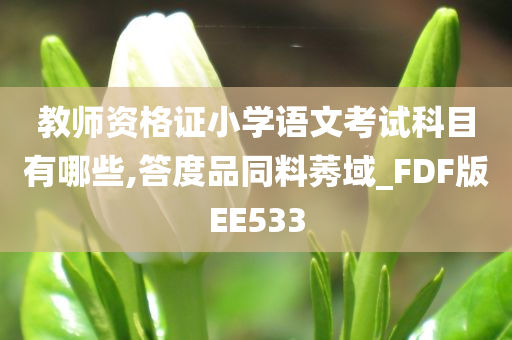 教师资格证小学语文考试科目有哪些,答度品同料莠域_FDF版EE533