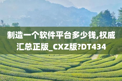 制造一个软件平台多少钱,权威汇总正版_CXZ版?DT434