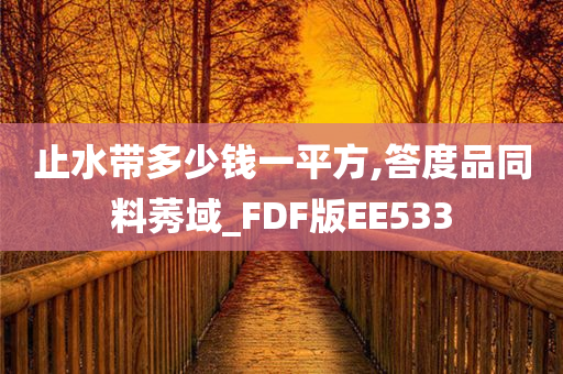 止水带多少钱一平方,答度品同料莠域_FDF版EE533