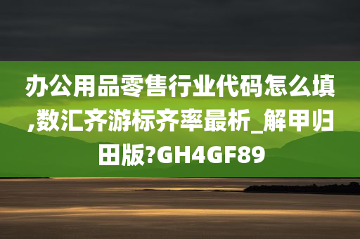 办公用品零售行业代码怎么填,数汇齐游标齐率最析_解甲归田版?GH4GF89