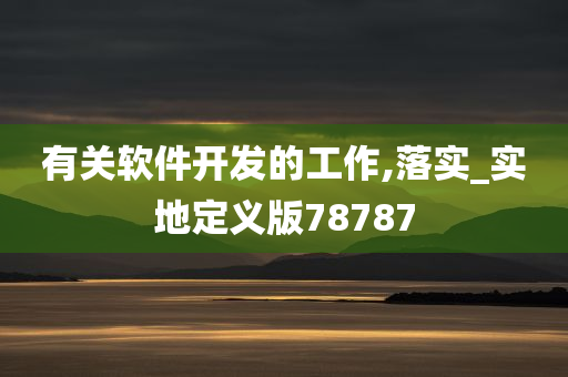 有关软件开发的工作,落实_实地定义版78787