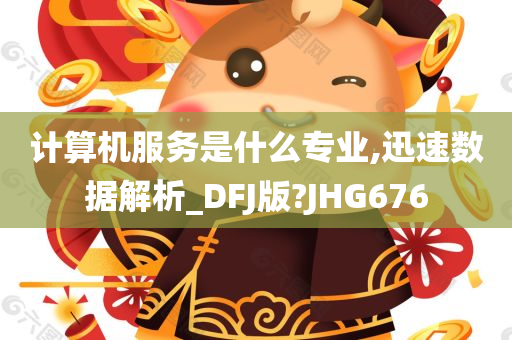 计算机服务是什么专业,迅速数据解析_DFJ版?JHG676