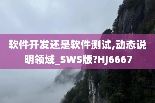 软件开发还是软件测试,动态说明领域_SWS版?HJ6667