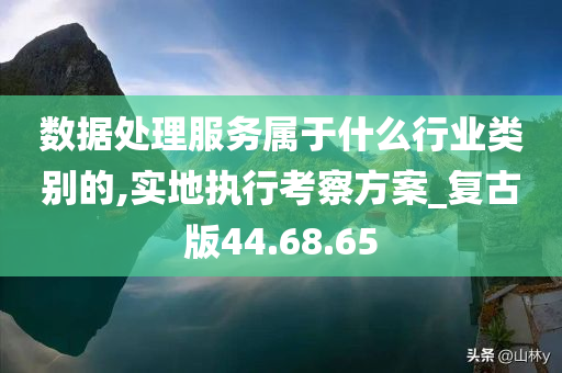 数据处理服务属于什么行业类别的,实地执行考察方案_复古版44.68.65