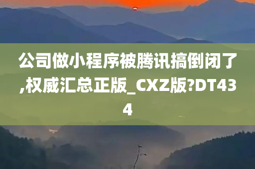 公司做小程序被腾讯搞倒闭了,权威汇总正版_CXZ版?DT434