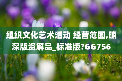 组织文化艺术活动 经营范围,确深版资解品_标准版?GG756