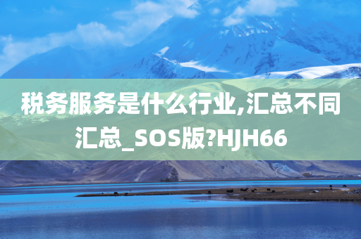 税务服务是什么行业,汇总不同汇总_SOS版?HJH66